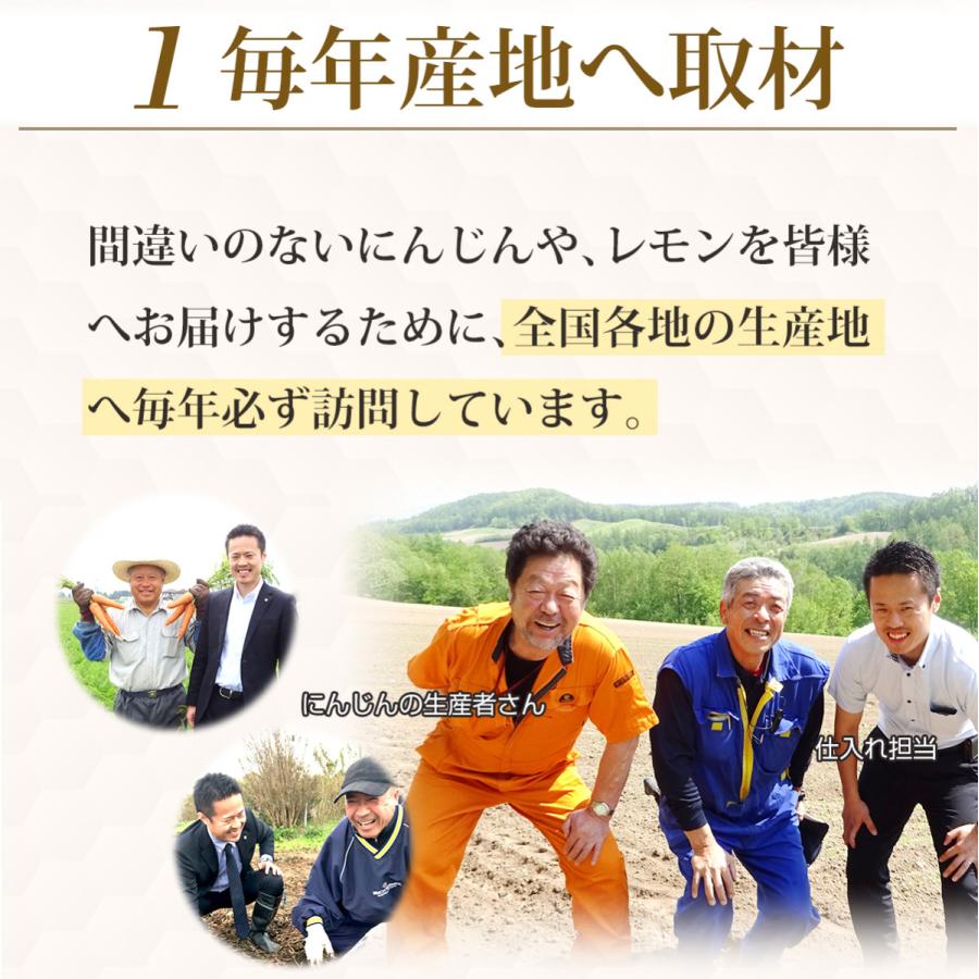 人参 にんじん 国産 にんじんジュース ジュース用 にんじん10kg レモン1kg 洗い人参 栽培期間中農薬 化学肥料不使用 ゲルソン療法にも最適 訳あり ピカイチ野菜くん 通販 Yahoo ショッピング