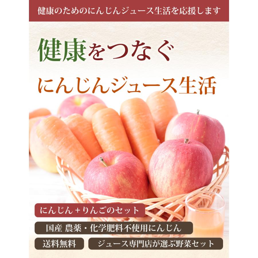 にんじん 人参 無農薬にんじん 野菜セット 人参5kg＋りんご3kg 訳あり ジュース用 人参ジュース ゲルソン療法 野菜 国産｜pika831｜02