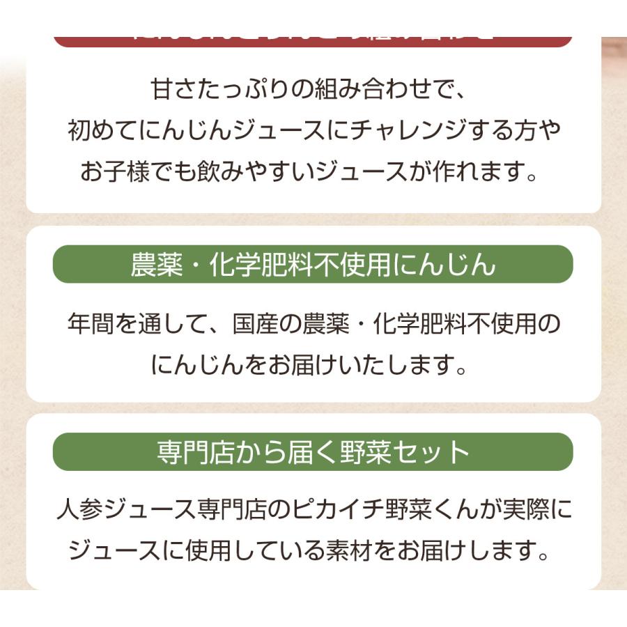 にんじん 人参 無農薬にんじん 野菜セット 人参5kg＋りんご3kg 訳あり ジュース用 人参ジュース ゲルソン療法 野菜 国産｜pika831｜05