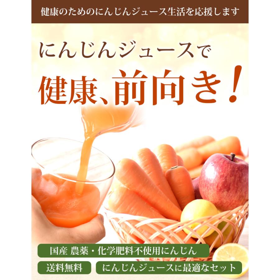 にんじん 人参 無農薬にんじん 野菜セット 人参5kg＋りんご3kg＋レモン1kg 訳あり ジュース用 人参ジュース ゲルソン療法 野菜 国産｜pika831｜02