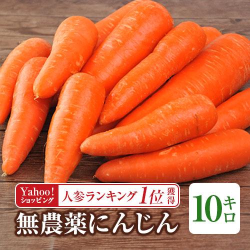 無農薬 オーガニック にんじん 人参 無農薬人参 10kg (常温便) 訳あり 無農薬