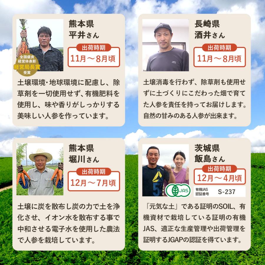オーガニック にんじん 人参 無農薬人参 10kg 訳あり 未検品 そのまま
