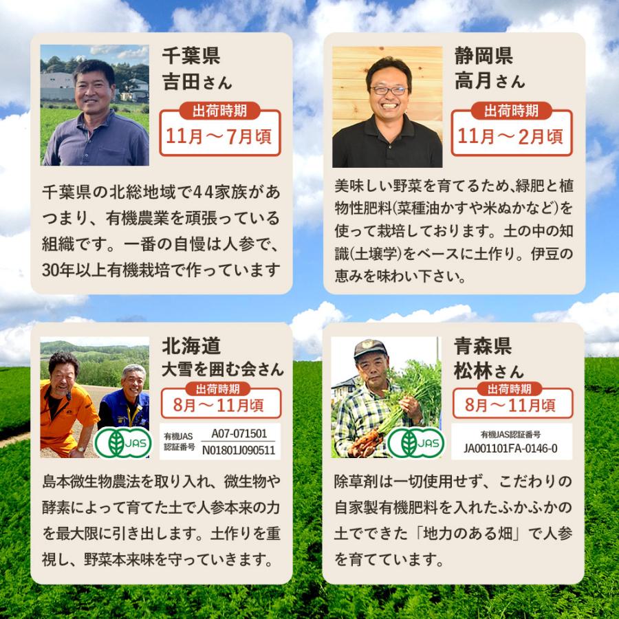 オーガニック にんじん 人参 無農薬人参 10kg 訳あり 未検品 そのまま