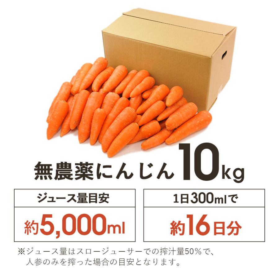 オーガニック にんじん 人参 無農薬人参 10kg (常温便) 訳あり 無農薬