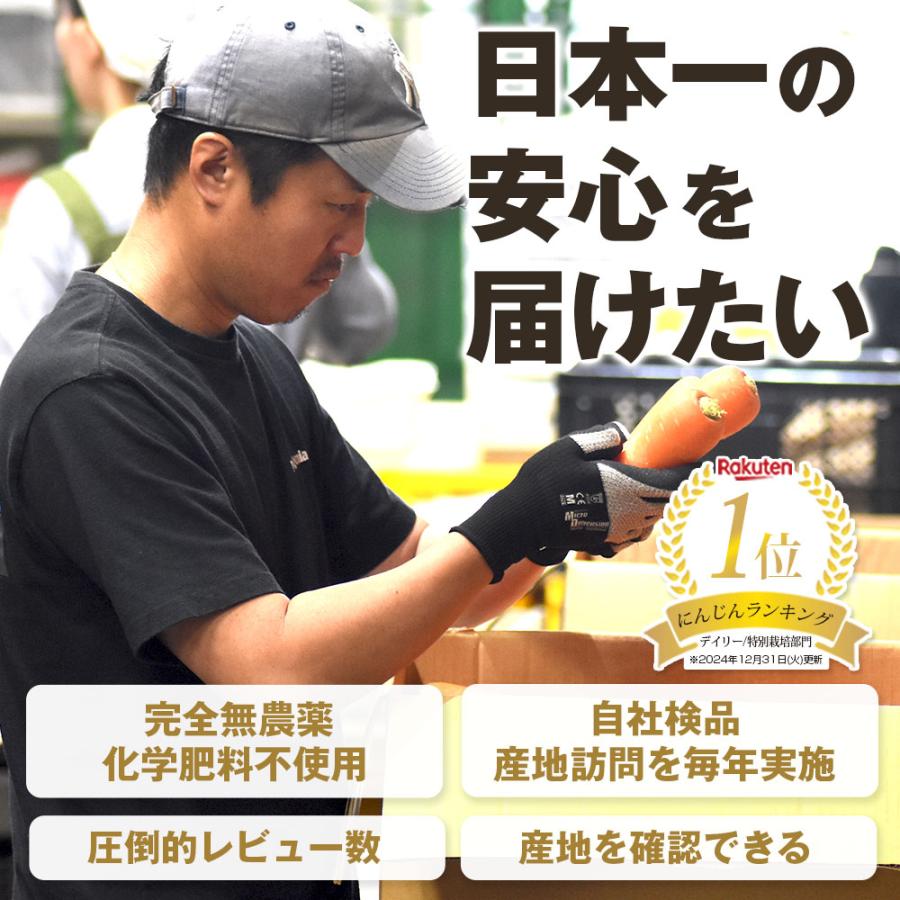 無農薬 オーガニック にんじん 人参 無農薬人参 10kg (常温便) 訳あり 無農薬