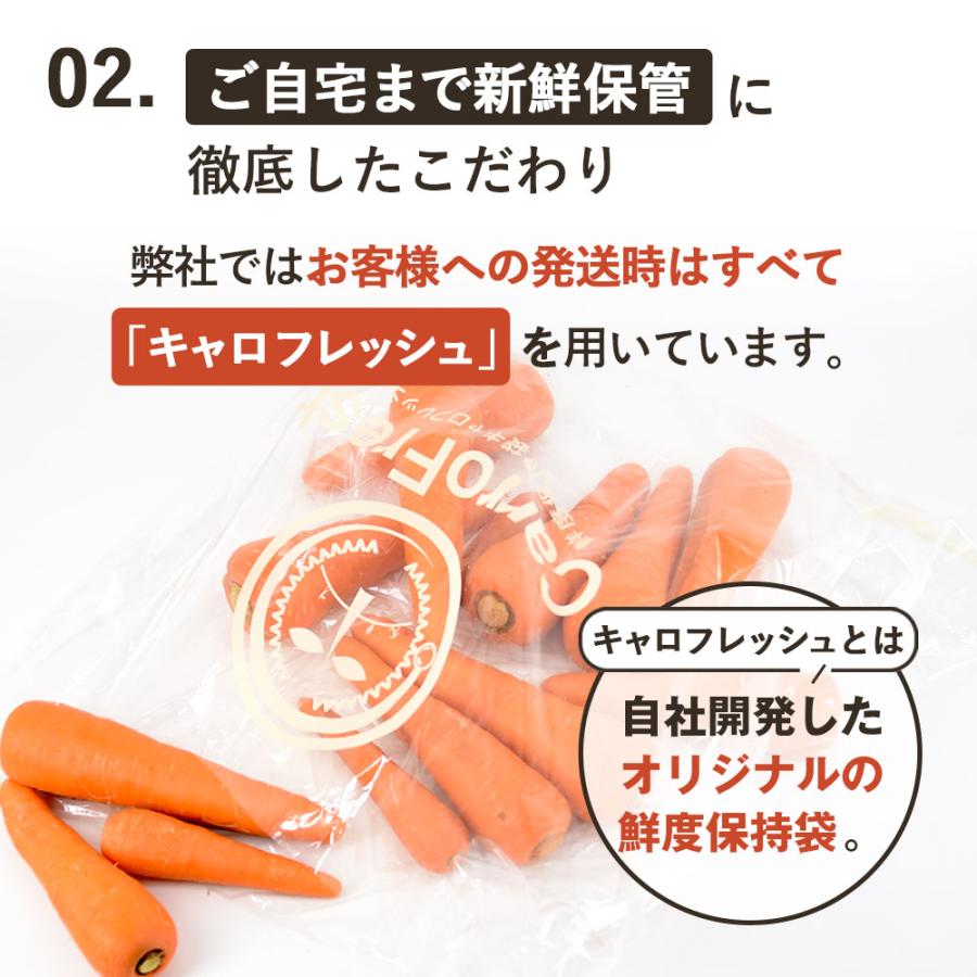 オーガニック にんじん 人参 無農薬人参 10kg (常温便) 訳あり 無農薬