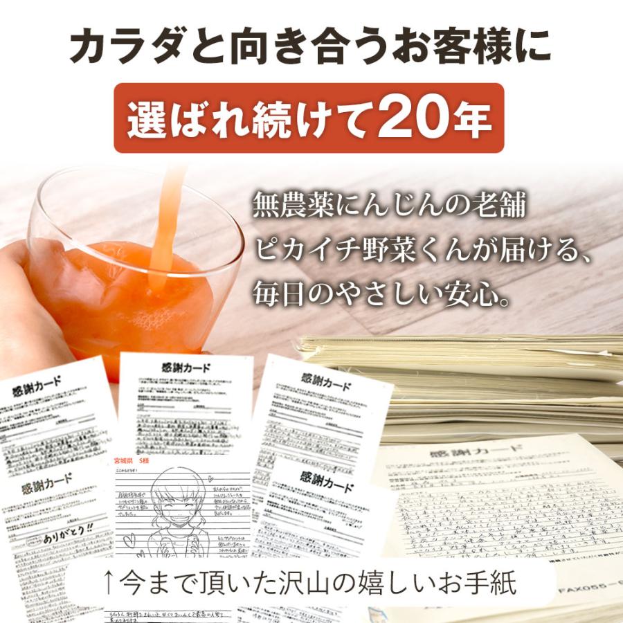 オーガニック にんじん 人参 無農薬人参 10kg 訳あり 未検品 そのまま