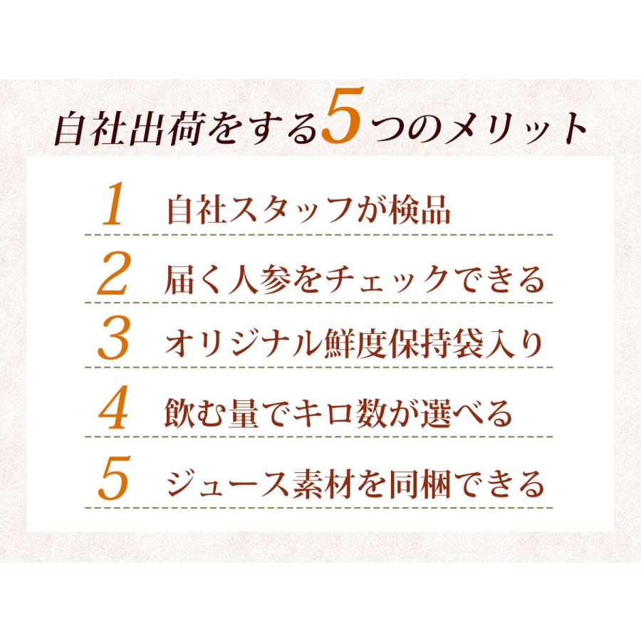 にんじん 人参 無農薬人参 10kg 訳あり 無農薬 ニンジン 無農薬にんじん 人参ジュース にんじんジュース ゲルソン療法 ジュース用 野菜 国産｜pika831｜08