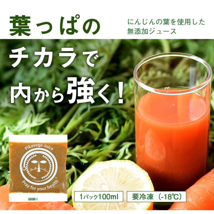 人参ジュース 無添加 無農薬人参 葉っぱ付き丸ごと にんじんジュース 4箱 100ml×120P 冷凍 ストレート 野菜ジュース_2