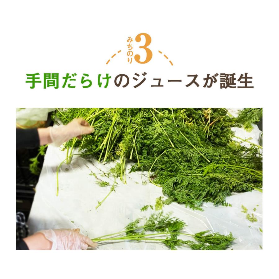 人参ジュース 無添加 無農薬人参 葉っぱ付き丸ごと にんじんジュース 4箱 100ml×120P 冷凍 ストレート 野菜ジュース_9