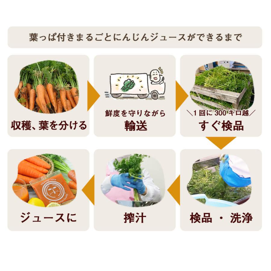 人参ジュース 無添加 無農薬人参 葉っぱ付き丸ごと にんじんジュース 4箱 100ml×120P 冷凍 ストレート 野菜ジュース_10