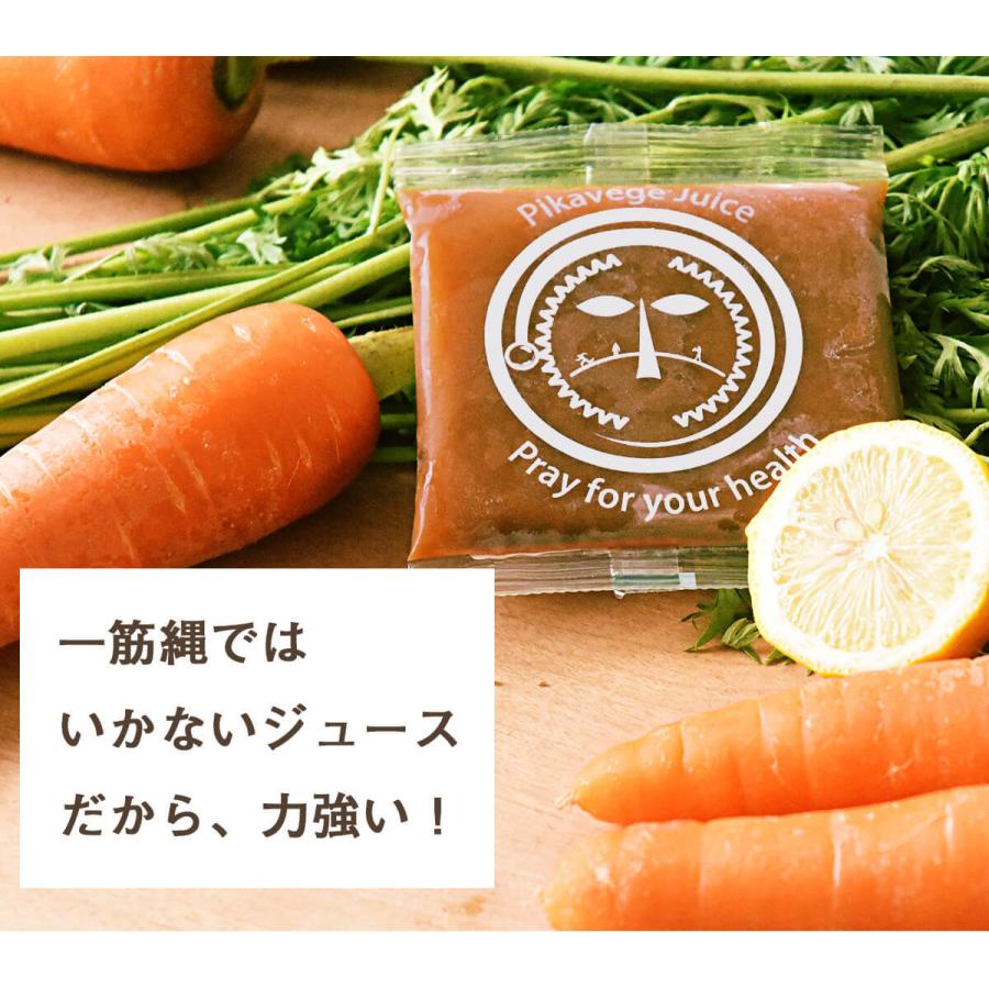 人参ジュース 無添加 無農薬人参 葉っぱ付き丸ごと にんじんジュース 4箱 100ml×120P 冷凍 ストレート 野菜ジュース_11