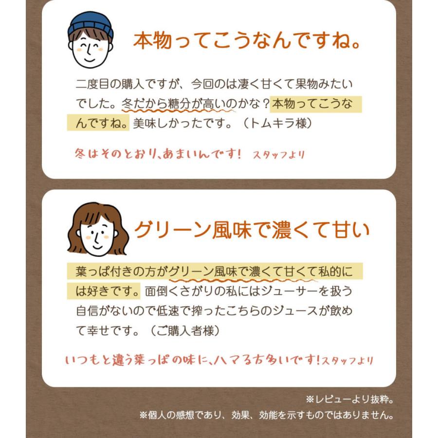 人参ジュース 無添加 無農薬人参 葉っぱ付き丸ごと にんじんジュース 4箱 100ml×120P 冷凍 ストレート 野菜ジュース_13
