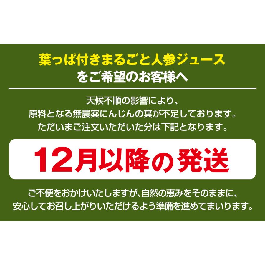 人参ジュース 無添加 無農薬人参 葉っぱ付き丸ごと にんじんジュース 4箱 100ml×120P 冷凍 ストレート 野菜ジュース_1