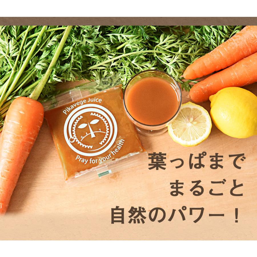 人参ジュース 無添加 無農薬人参 葉っぱ付き丸ごと にんじんジュース 4箱 100ml×120P 冷凍 ストレート 野菜ジュース_19