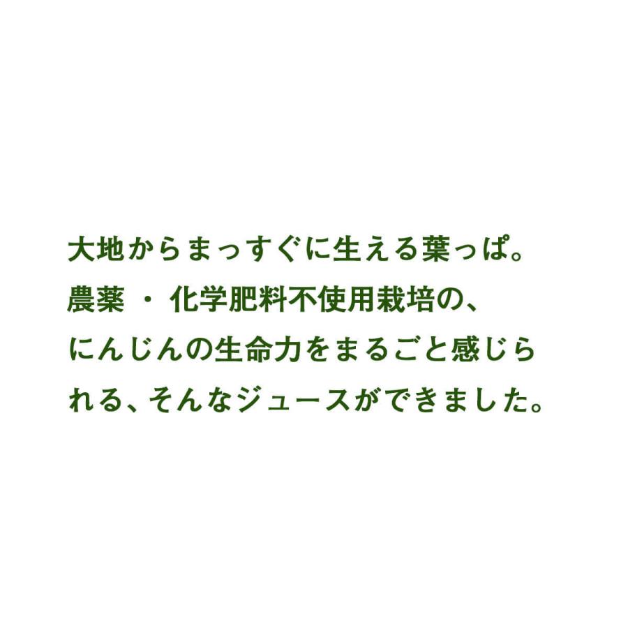 人参ジュース 無添加 無農薬人参 葉っぱ付き丸ごと にんじんジュース 4箱 100ml×120P 冷凍 ストレート 野菜ジュース_3