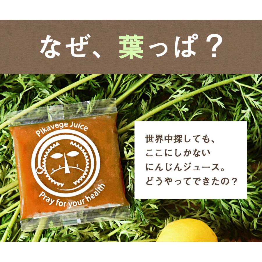 人参ジュース 無添加 無農薬人参 葉っぱ付き丸ごと にんじんジュース 4箱 100ml×120P 冷凍 ストレート 野菜ジュース_4