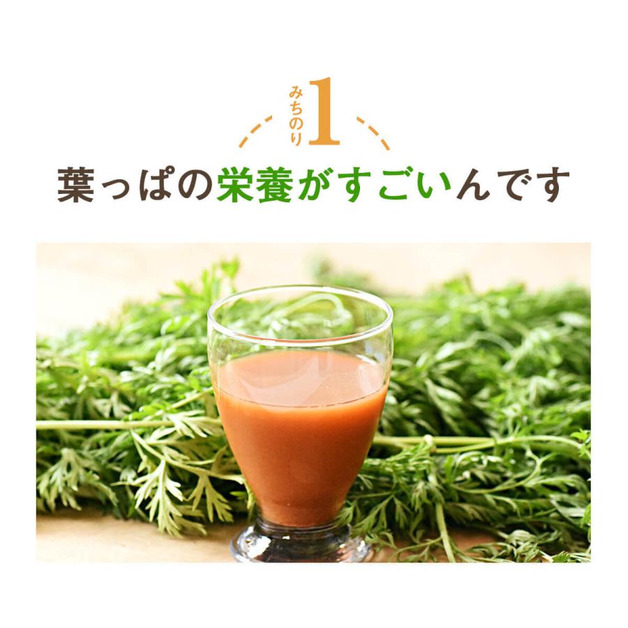 人参ジュース 無添加 無農薬人参 葉っぱ付き丸ごと にんじんジュース 4箱 100ml×120P 冷凍 ストレート 野菜ジュース_5