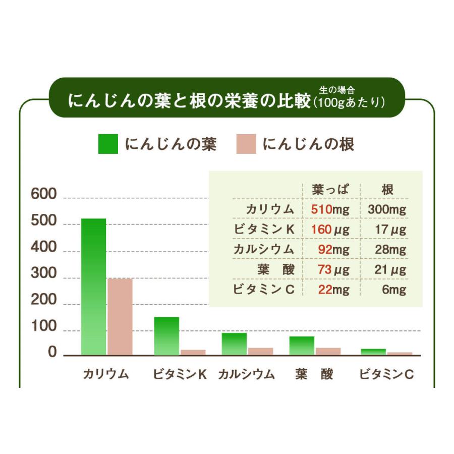 人参ジュース 無添加 無農薬人参 葉っぱ付き丸ごと にんじんジュース 4箱 100ml×120P 冷凍 ストレート 野菜ジュース_6