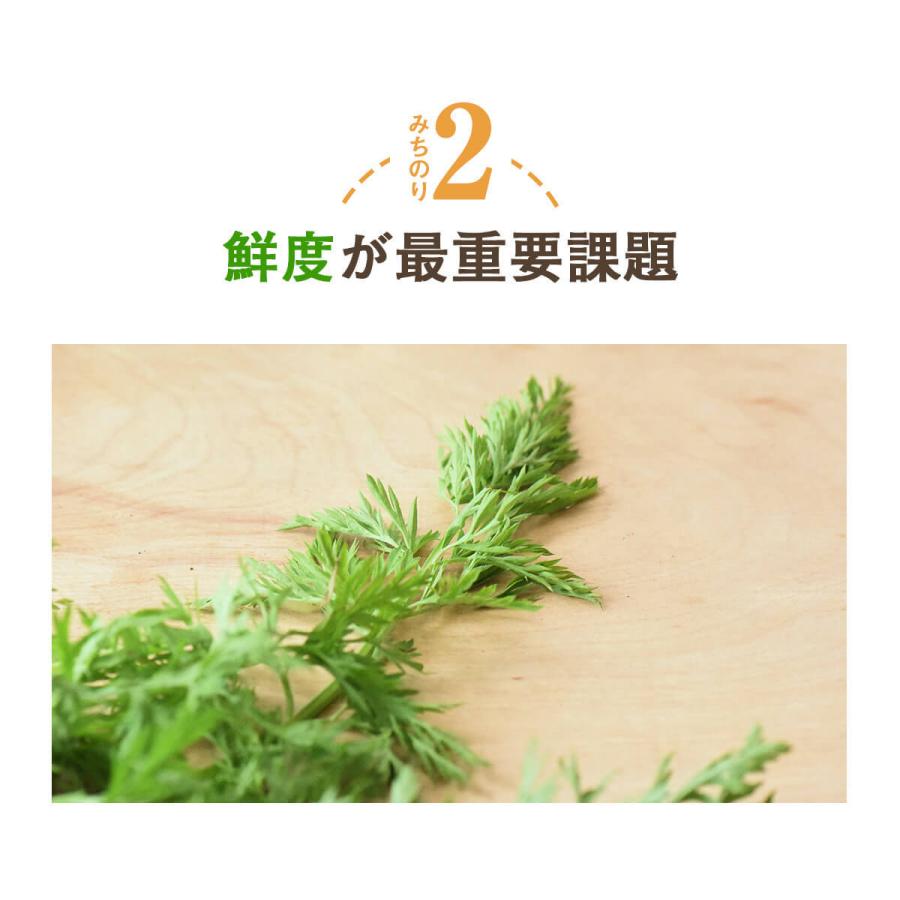 人参ジュース 無添加 無農薬人参 葉っぱ付き丸ごと にんじんジュース 4箱 100ml×120P 冷凍 ストレート 野菜ジュース_7