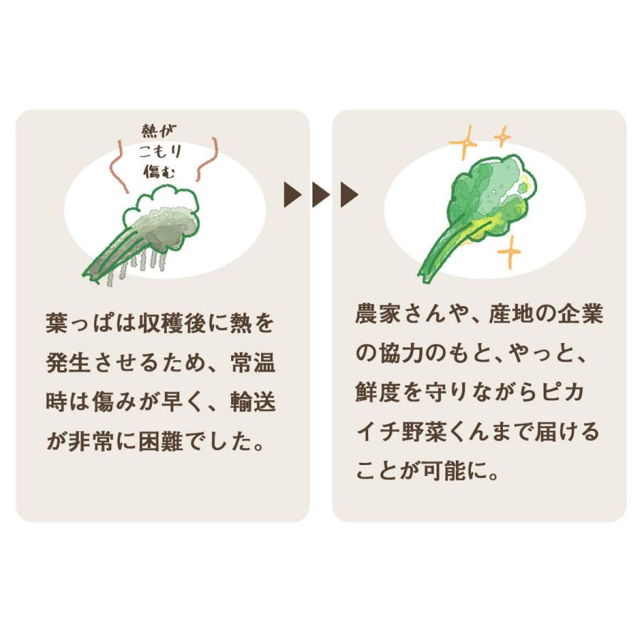 人参ジュース 無添加 無農薬人参 葉っぱ付き丸ごと にんじんジュース 4箱 100ml×120P 冷凍 ストレート 野菜ジュース_8