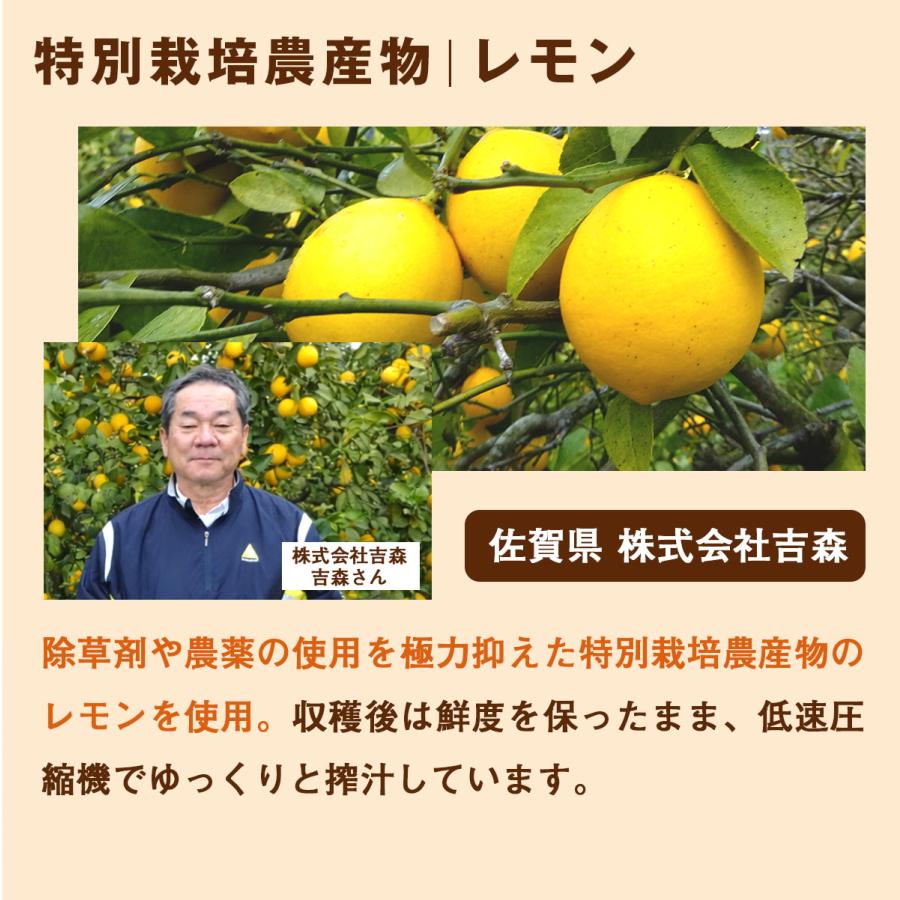 にんじんジュース 無添加 人参りんごレモンジュース 2箱 （合計100ml 