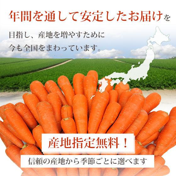 激安大特価! \産地が選べる 毎日の人参ジュース生活をサポート 国産のジュース用無農薬にんじんは検品 放射能検査をしてお届けします ゲルソン療法をされている方にもおすすめ 無農薬にんじん 5kg 国産 有機JAS認証 ゲルソン療法 無農薬人参 にんじん 人参 人参ジュース にんじんジュース ニンジンジュース 野菜ジュース ジュース用 無添加 野菜 スロージューサー ジューサー ストレートジュース ファスティング learnrealjapanese.com 激安大特価! \産地が選べる 毎日の人参ジュース生活をサポート 国産のジュース用無農薬にんじんは検品 放射能検査をしてお届けします ゲルソン療法をされている方にもおすすめ 無農薬にんじん 5kg 国産 有機JAS認証 ゲルソン療法 無農薬人参 にんじん 人参 人参ジュース にんじんジュース ニンジンジュース 野菜ジュース ジュース用 無添加 野菜 スロージューサー ジューサー ストレートジュース ファスティング learnrealjapanese.com