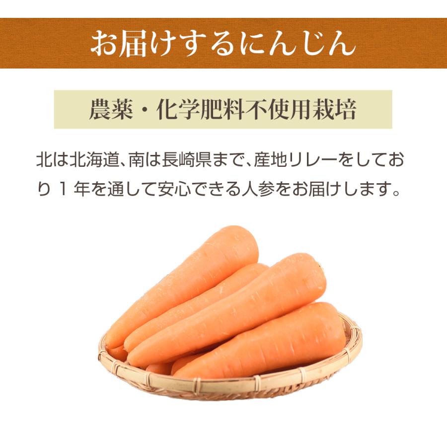 にんじん 人参 無農薬にんじん 野菜セット 人参5kg＋レモン1kg 訳あり ジュース用 人参ジュース ゲルソン療法 野菜 国産｜pika831｜15