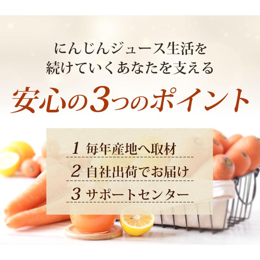 にんじん 人参 無農薬にんじん 野菜セット 人参5kg＋レモン1kg 訳あり ジュース用 人参ジュース ゲルソン療法 野菜 国産｜pika831｜09