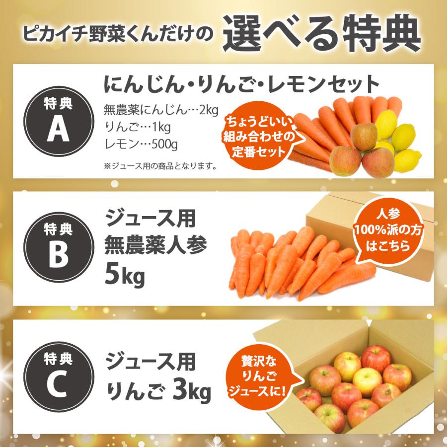 HUROM 低速ジューサー コールドプレス HW-SBA18　業務用 HUROM 低速ジューサー コールドプレス HW-SBA18 業務用 ヒューロム、12