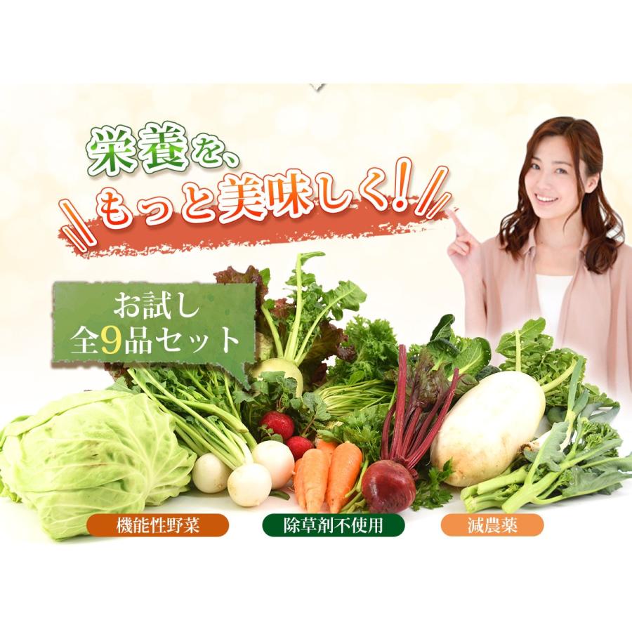 クール便対応 野菜セット 箱根南麓の伊豆の野菜 お試しセット 静岡県産 9品目 国産 無農薬 減農薬 機能性野菜 ピカイチ野菜くん 通販 Yahoo ショッピング