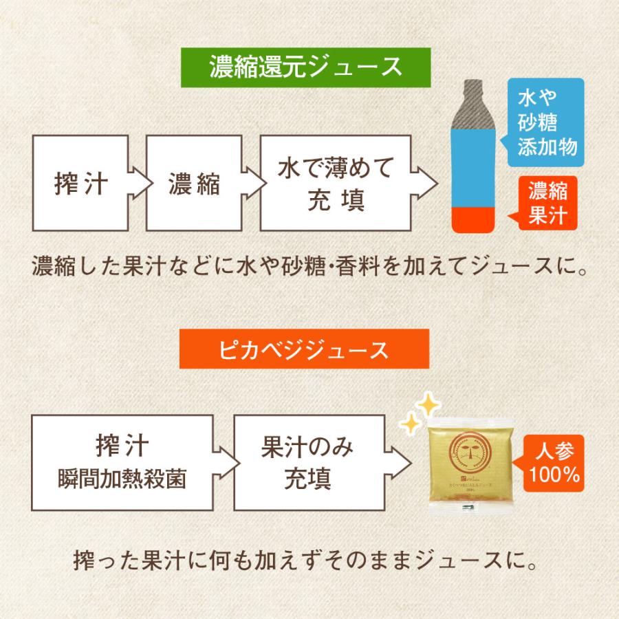 人参ジュース 無添加 とくべつな にんじんジュース 4箱 合計100ml×120P 冷凍 にんじん 無農薬人参 ストレート 野菜ジュース 無塩_14