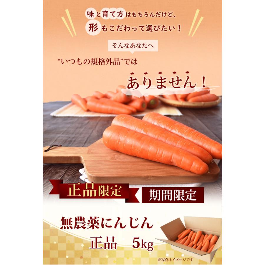 最大85 Offクーポン クール便対応 正品 人参 にんじん 5kg ギフト用 ジュース用 にんじんジュース 農薬 化学肥料不使用栽培 人参ジュース キャロットジュース Cisama Sc Gov Br