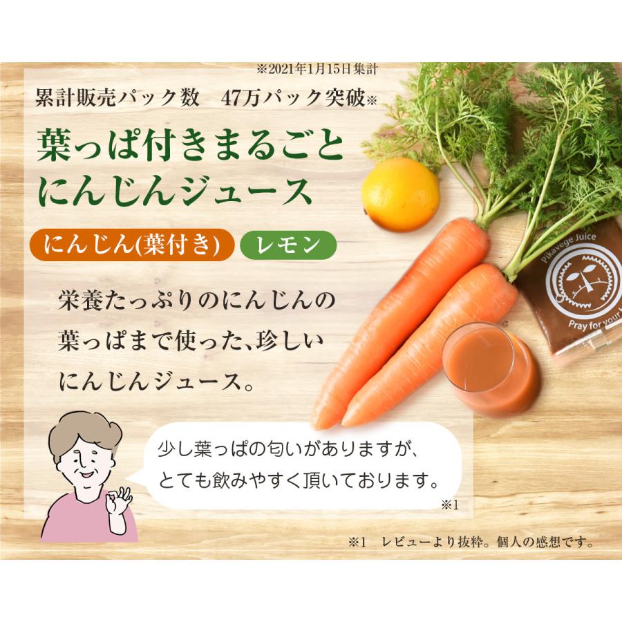 独特な店 人参ジュース 無添加 にんじんりんごレモンジュース にんじんジュース 無農薬人参 1箱 100cc 30パック Materialworldblog Com