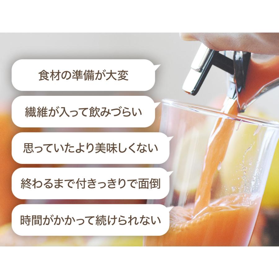 HUROM（ヒューロム） 特典10％OFF 2024年最新 ジューサー スロー