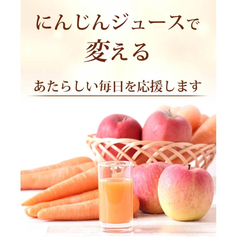 にんじん 人参 無農薬にんじん 野菜セット 人参5kg＋りんご5kg
