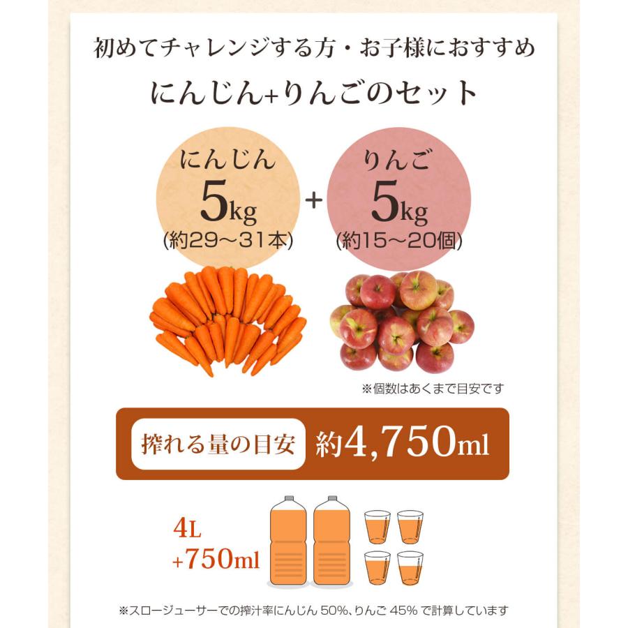 にんじん 人参 無農薬にんじん 野菜セット 人参5kg＋りんご5kg