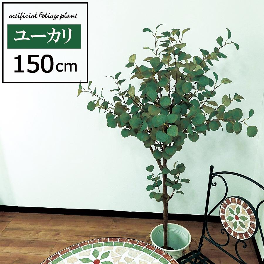 フェイクグリーン　ユーカリ（人工観葉植物）高さ150cm 不二貿易（Fuji Boeki） フェイクグリーン ユーカリ 高さ150cm