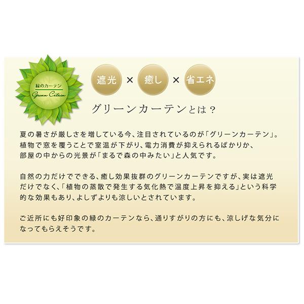 アイアン製グリーンカーテン アーガイル フェンス　アイアン グリーンフェンス ゴーヤ 薔薇 バラ 朝顔　庭　ベランダ ガーデニング 枠 柵 仕切り 目隠し 境目