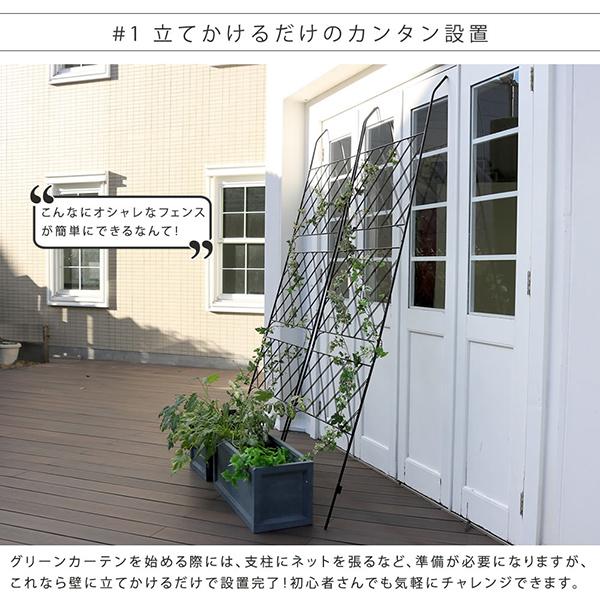 アイアン製グリーンカーテン アーガイル フェンス　アイアン グリーンフェンス ゴーヤ 薔薇 バラ 朝顔　庭　ベランダ ガーデニング 枠 柵 仕切り 目隠し 境目