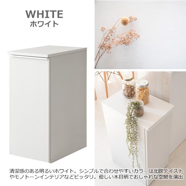 ダストボックス ゴミ箱 ごみ箱 収納 取り外し リビング ダイニング キャスター付き ３色 生ごみ 生ごみ処理 広口 引き出し_13