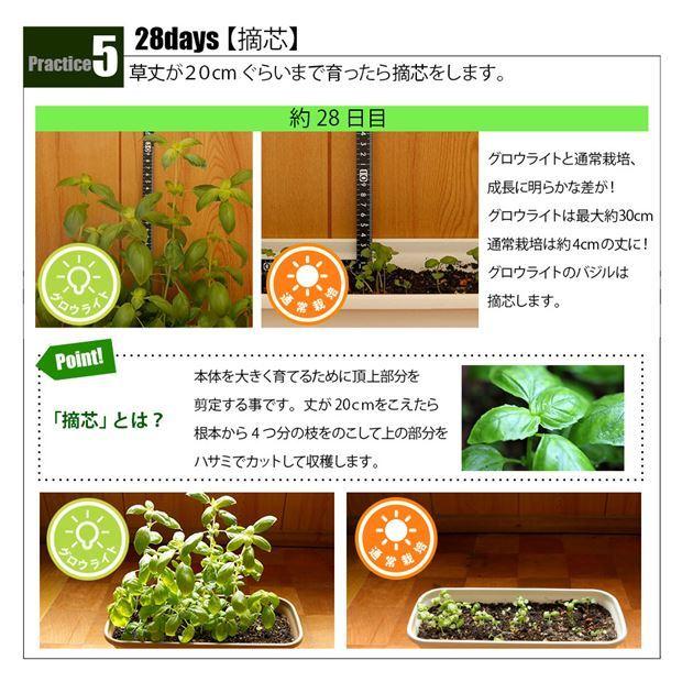 LED 植物育成ライト グロウライト ファンレス 薄型設計 ピカキュウ90cm