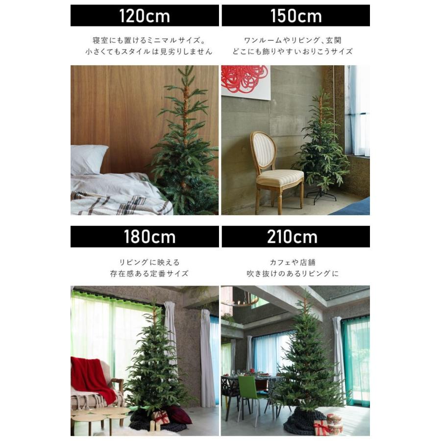 クリスマスツリー の木 210cm ヌードツリー 北欧 おしゃれ 高級 フィンランド VAR ヴァール ツリーのみ 飾り付けなし｜pikaqac2｜11