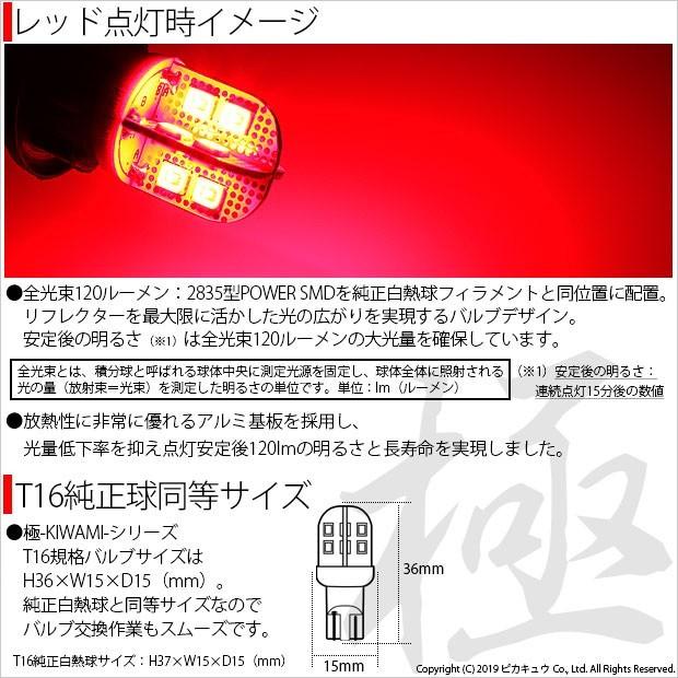 【123】T37 雲南のツバキ・初日カバー（3通セット） 123】T37 雲南のツバキ・初日カバー（3通セット） トップ 中国