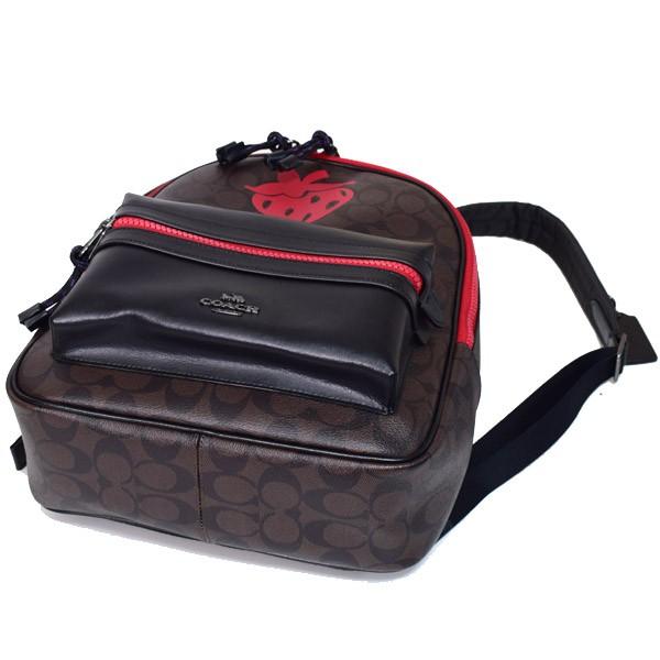 COACH（コーチ） バッグ キャンバス スムースレザー シグネチャー