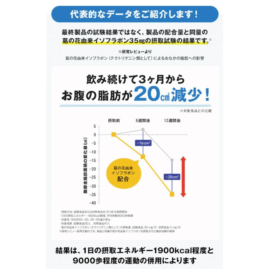 PILLBOX JAPAN（ピルボックスジャパン） WEB直販限定販売 onaka(おなか