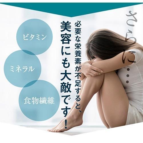 PILLBOX JAPAN（ピルボックスジャパン） プロテインダイエット 35食