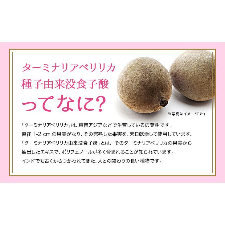 PILLBOX JAPAN（ピルボックスジャパン） LovetS+(ラヴェットエスプラス