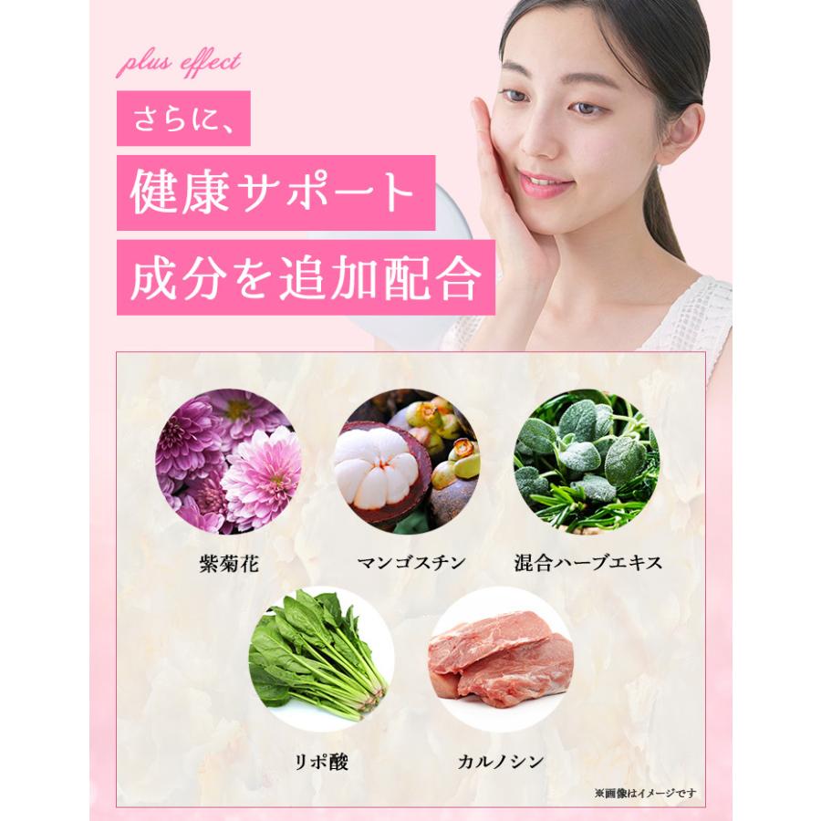 PILLBOX JAPAN（ピルボックスジャパン） LovetS+(ラヴェットエスプラス