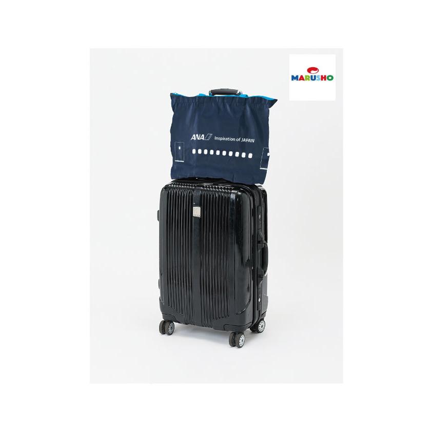 パイロットバック 04011332_67eb6c52ea0b0.jpg